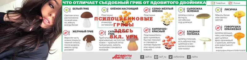 Галлюциногенные грибы GOLDEN TEACHER  как найти наркотики  Зеленодольск 